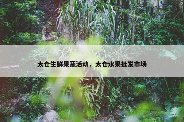 太仓生鲜果蔬活动，太仓水果批发市场
