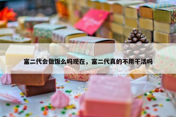 富二代会做饭么吗现在，富二代真的不用干活吗