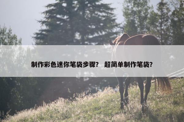 制作彩色迷你笔袋步骤？ 超简单制作笔袋？