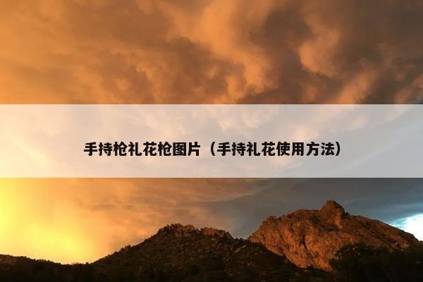 手持枪礼花枪图片（手持礼花使用方法）