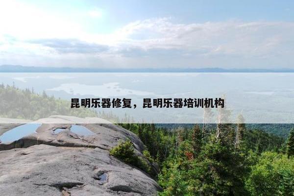 昆明乐器修复，昆明乐器培训机构