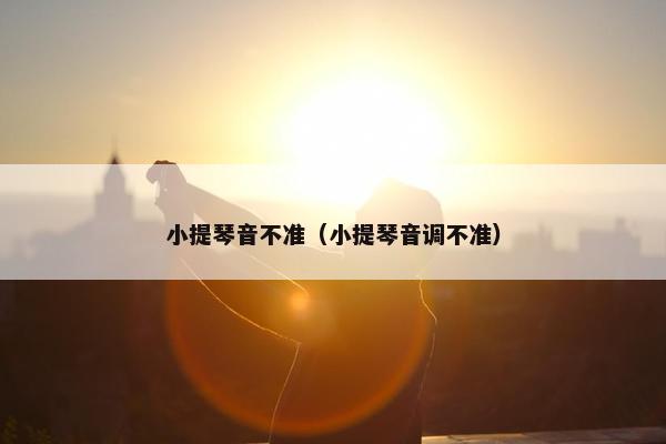 小提琴音不准（小提琴音调不准）