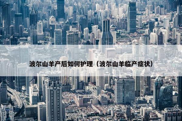 波尔山羊产后如何护理（波尔山羊临产症状）