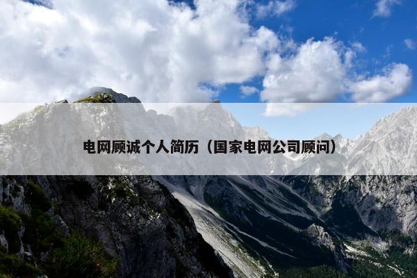 电网顾诚个人简历（国家电网公司顾问）