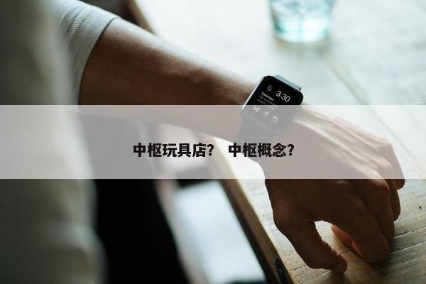 中枢玩具店？ 中枢概念？