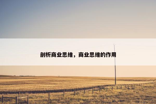剖析商业思维，商业思维的作用