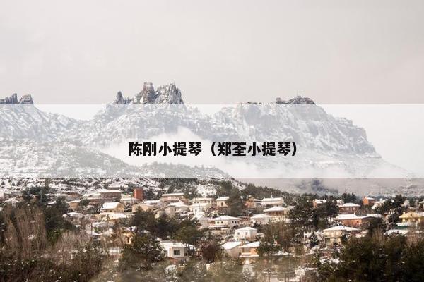 陈刚小提琴（郑荃小提琴）