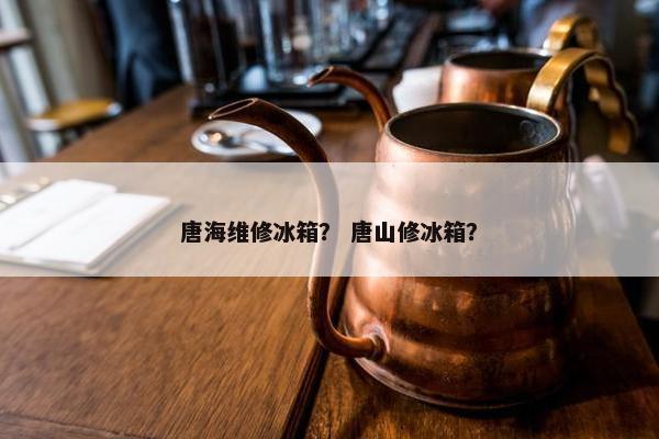 唐海维修冰箱？ 唐山修冰箱？