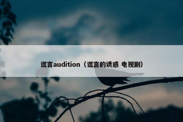 谎言audition（谎言的诱惑 电视剧）