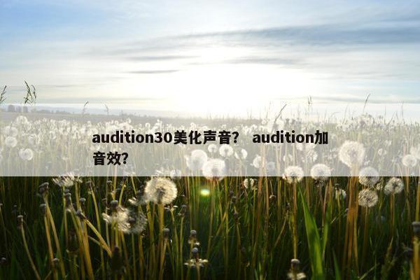 audition30美化声音？ audition加音效？