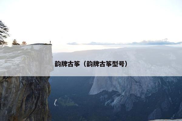 韵牌古筝（韵牌古筝型号）