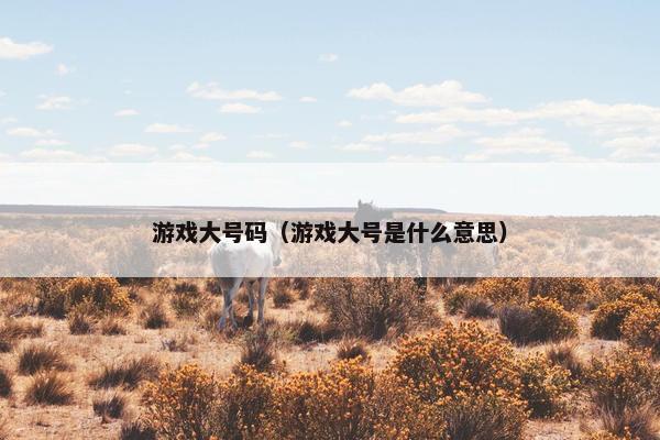 游戏大号码（游戏大号是什么意思）