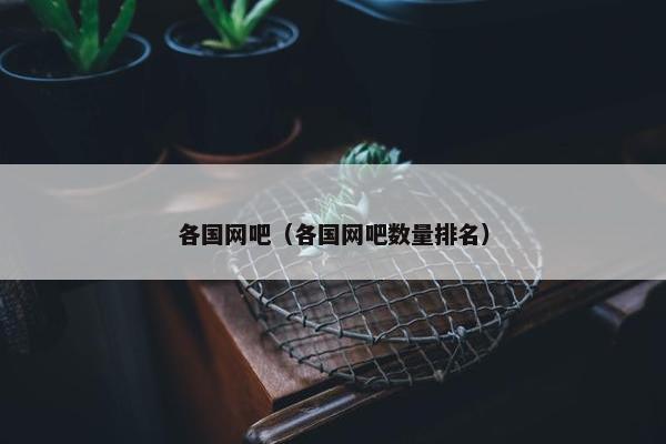 各国网吧（各国网吧数量排名）
