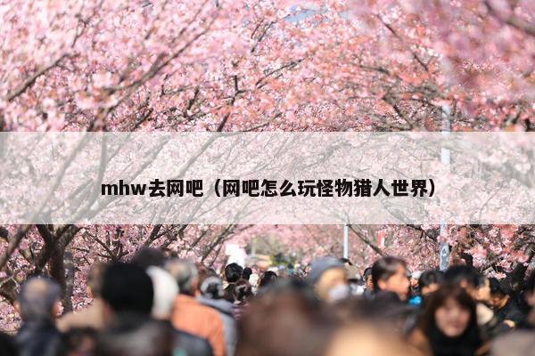 mhw去网吧（网吧怎么玩怪物猎人世界）