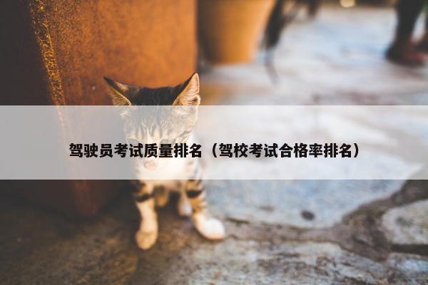 驾驶员考试质量排名（驾校考试合格率排名）