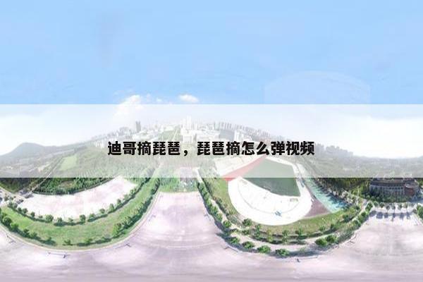 迪哥摘琵琶，琵琶摘怎么弹视频