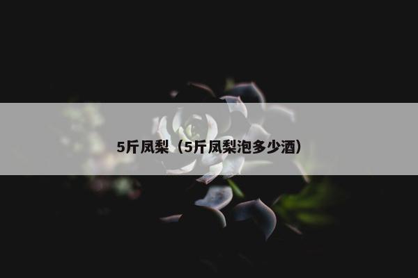 5斤凤梨（5斤凤梨泡多少酒）