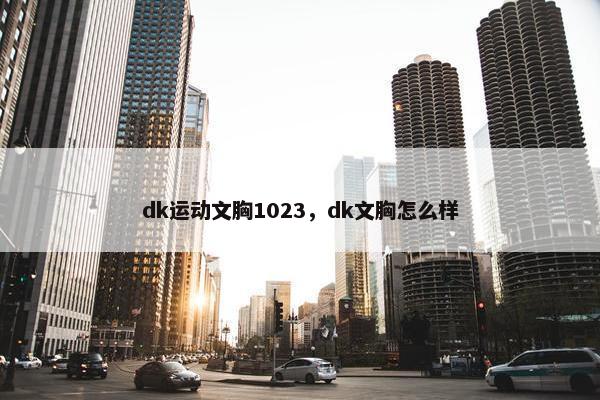 dk运动文胸1023，dk文胸怎么样
