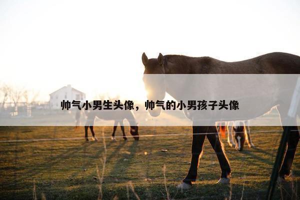 帅气小男生头像，帅气的小男孩子头像