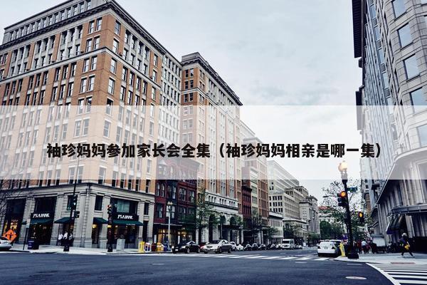 袖珍妈妈参加家长会全集（袖珍妈妈相亲是哪一集）