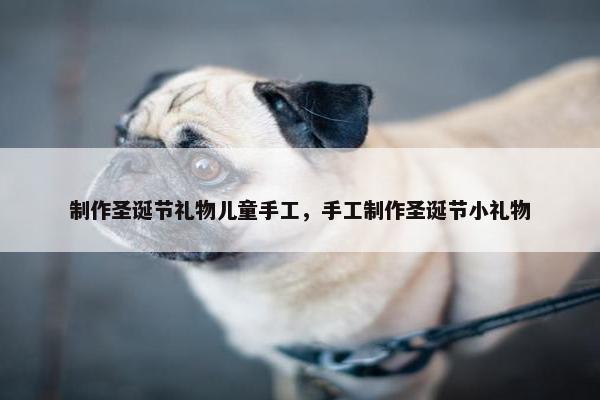 制作圣诞节礼物儿童手工，手工制作圣诞节小礼物