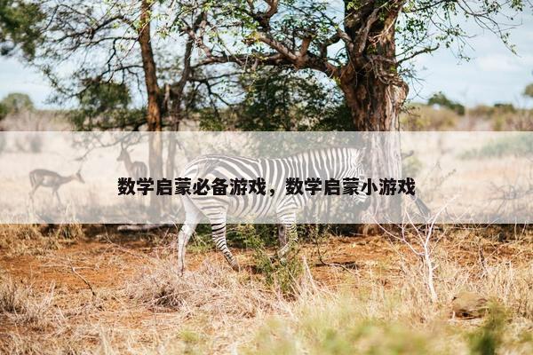 数学启蒙必备游戏，数学启蒙小游戏