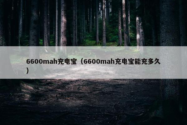 6600mah充电宝（6600mah充电宝能充多久）