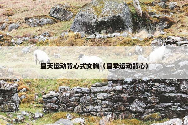 夏天运动背心式文胸（夏季运动背心）