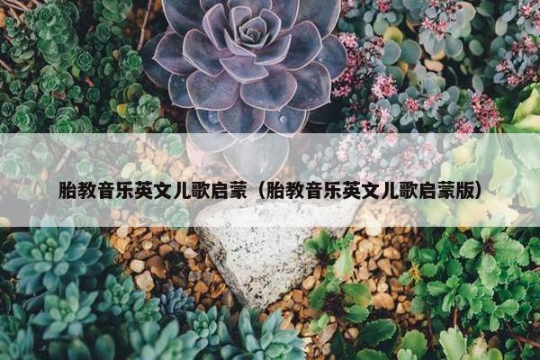 胎教音乐英文儿歌启蒙（胎教音乐英文儿歌启蒙版）