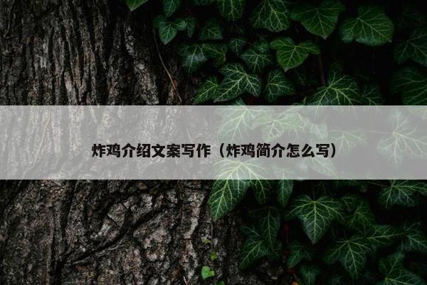 炸鸡介绍文案写作（炸鸡简介怎么写）