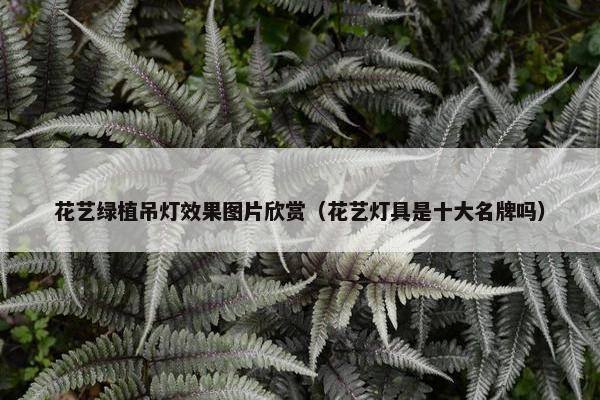 花艺绿植吊灯效果图片欣赏（花艺灯具是十大名牌吗）