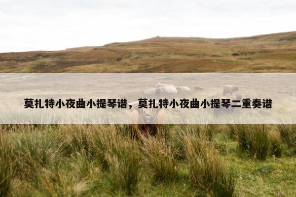 莫扎特小夜曲小提琴谱，莫扎特小夜曲小提琴二重奏谱
