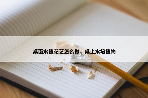 桌面水植花艺怎么做，桌上水培植物