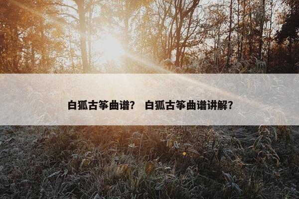白狐古筝曲谱？ 白狐古筝曲谱讲解？