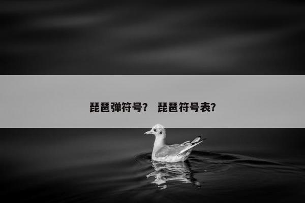 琵琶弹符号？ 琵琶符号表？
