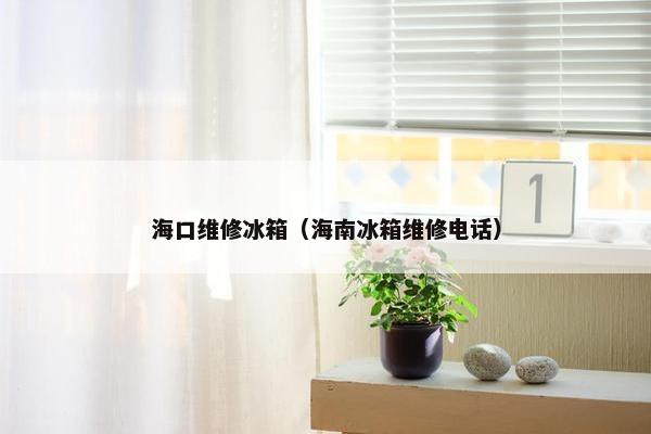 海口维修冰箱（海南冰箱维修电话）