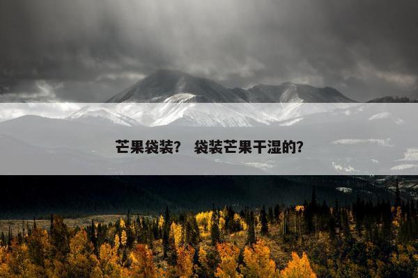 芒果袋装？ 袋装芒果干湿的？