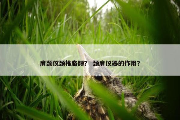 肩颈仪颈椎胳膊？ 颈肩仪器的作用？