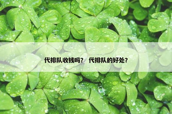 代排队收钱吗？ 代排队的好处？