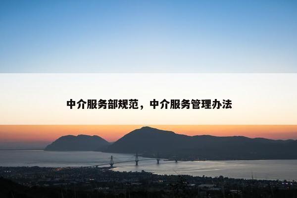 中介服务部规范，中介服务管理办法