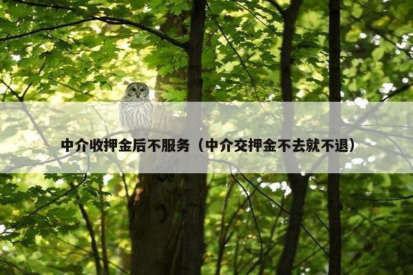 中介收押金后不服务(中介交押金不去就不退) 中介收押金后不服务(中介交押金不去就不退)