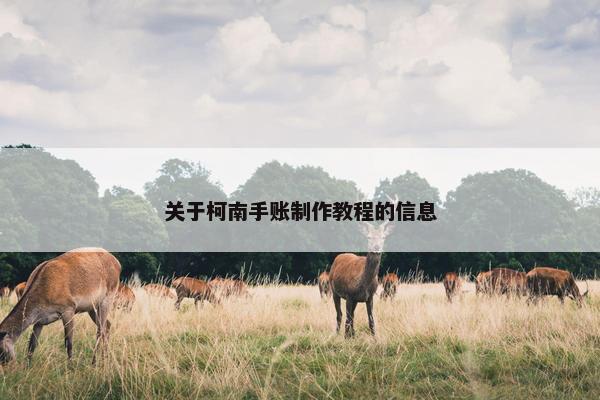 关于柯南手账制作教程的信息 关于柯南手账制作教程的信息