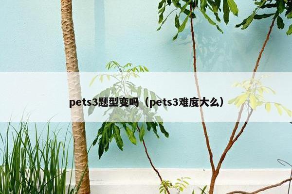 pets3题型变吗（pets3难度大么）