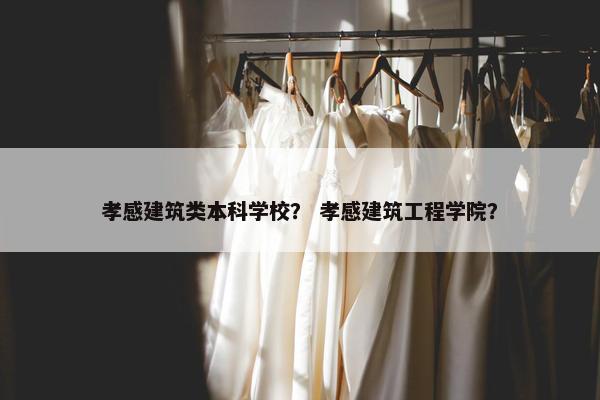 孝感建筑类本科学校？ 孝感建筑工程学院？