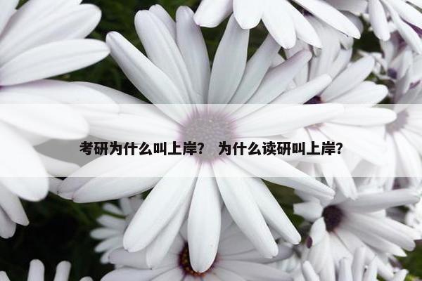 考研为什么叫上岸？ 为什么读研叫上岸？