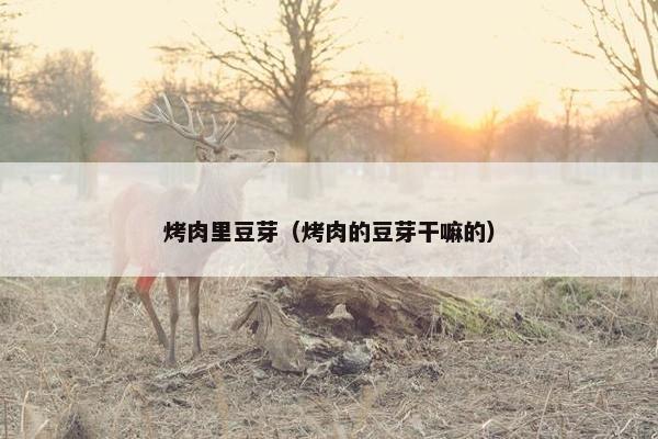 烤肉里豆芽（烤肉的豆芽干嘛的）