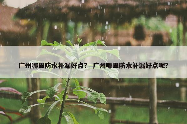 广州哪里防水补漏好点？ 广州哪里防水补漏好点呢？