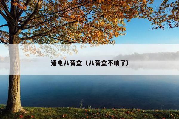 通电八音盒（八音盒不响了）