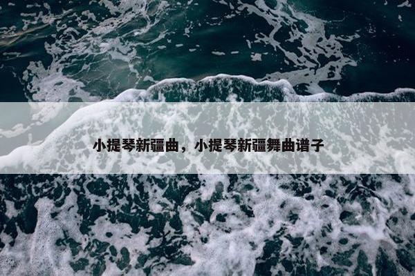 小提琴新疆曲，小提琴新疆舞曲谱子