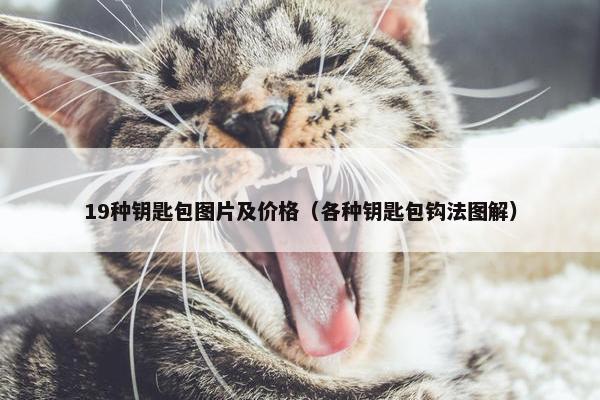19种钥匙包图片及价格（各种钥匙包钩法图解）